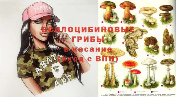 спиды Вязьма